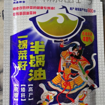 半锅油油菜籽高产矮杆机收含油率达40%