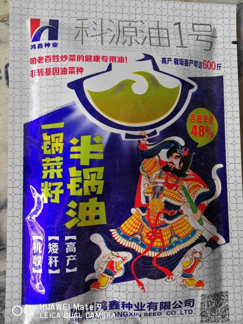 半锅油油菜籽高产矮杆机收含油率达40%