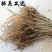 桑树苗护坡占地桑树苗