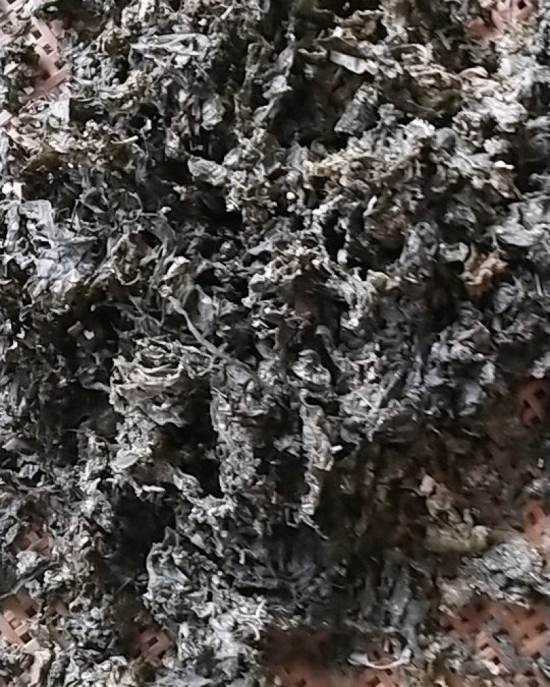 湖北本地野生地皮菜手挑筛选干货，产地直销，质量有保证