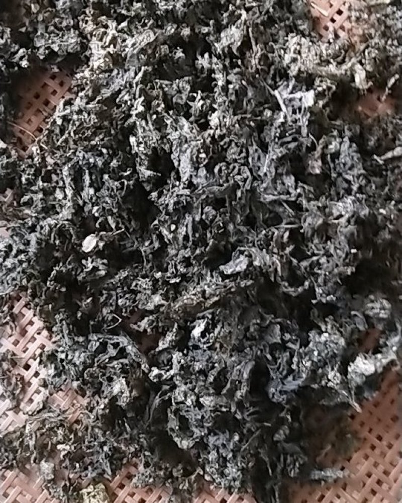 湖北本地野生地皮菜手挑筛选干货，产地直销，质量有保证