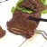 爆款👉鸭肉排