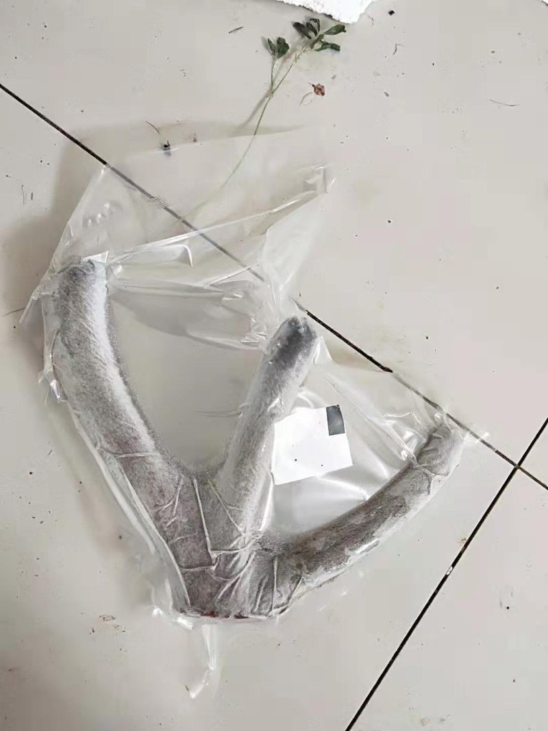 包邮新疆鹿茸干切片，量大优惠