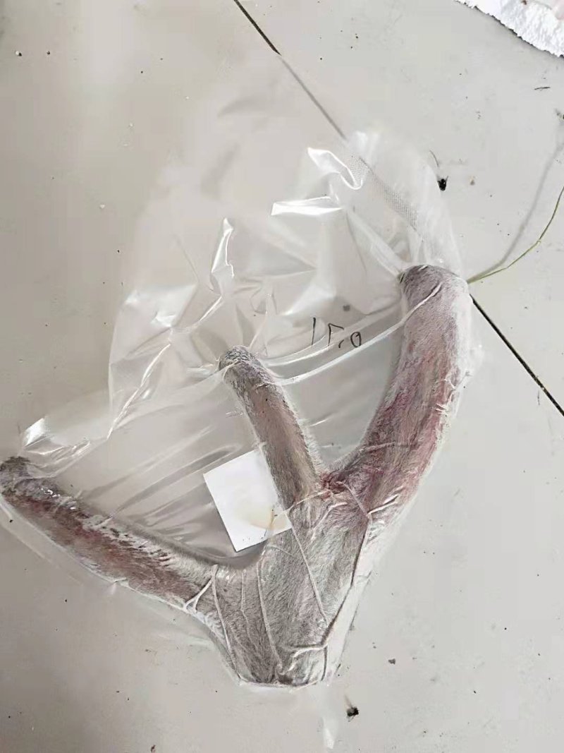 包邮新疆鹿茸干切片，量大优惠