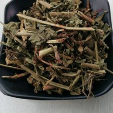 红背叶，道地药材，质优价实，品质保证，药典标准一公斤起批