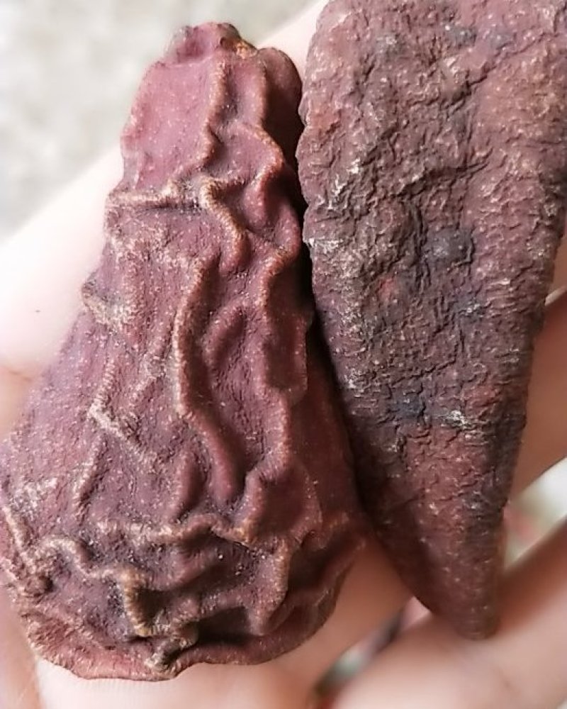 皱皮木瓜，皱皮木瓜手切湖北无硫无添加统货干品