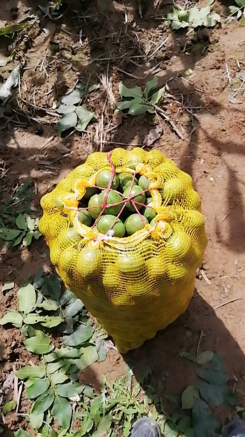 香玲核桃