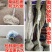 【包邮】桂花大树金桂丹桂庭院工程桂花树地栽浓香型四季桂花