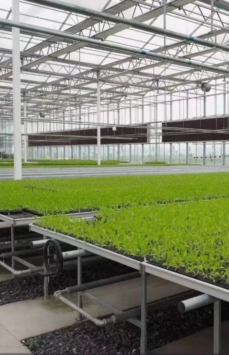 温室大棚环流风机内循环风机种植养殖