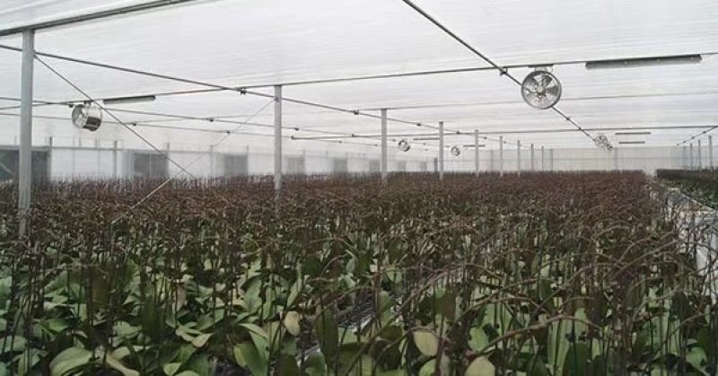 温室大棚环流风机内循环风机种植养殖