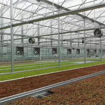 温室大棚环流风机内循环风机种植养殖