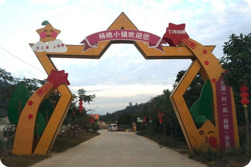 【有好货聚便宜】福建下河杨桃产地一件代发产地直发