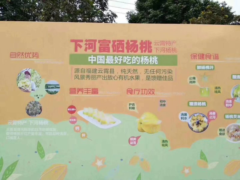 【有好货聚便宜】福建下河杨桃产地一件代发产地直发