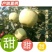 青森水蜜桃苹果香甜适口产地现摘现发