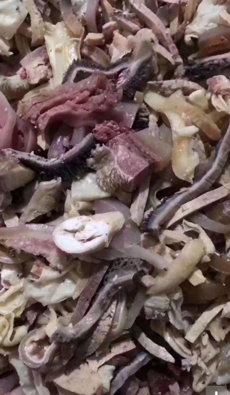 羊杂火锅辣炒！真空包装5斤一包，可定制，欢迎咨询订货