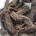 天雄,道地药材,质优价实,品质保证,药典标准一公斤起批
