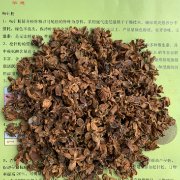 柏树壳