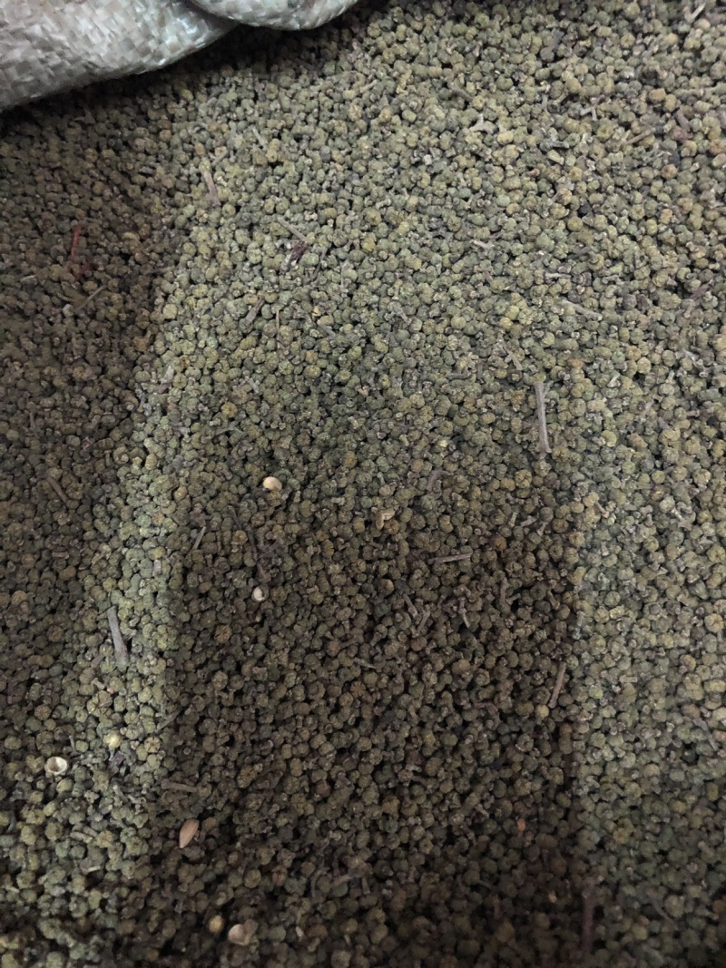 【舜波中药材】吴茱萸青花量大从优