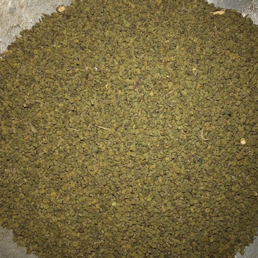【舜波中药材】吴茱萸青花量大从优