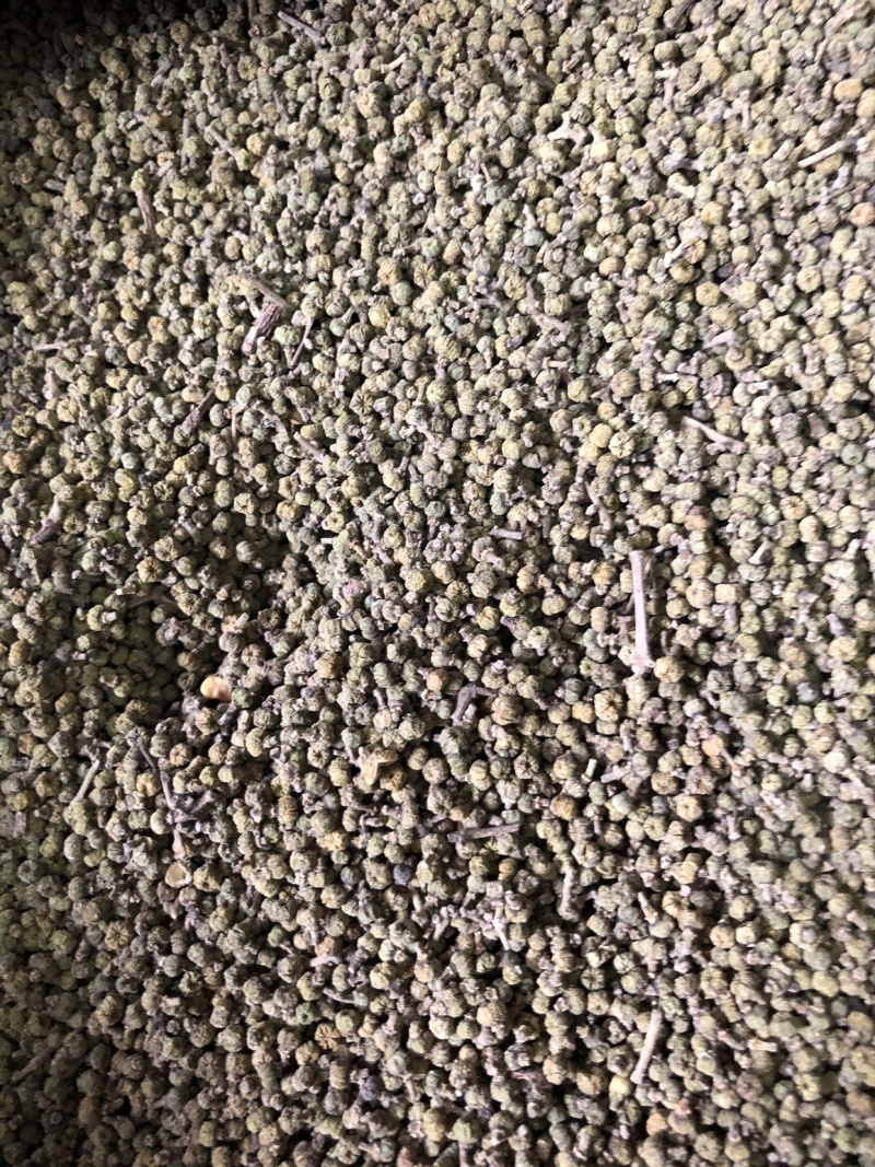 【舜波中药材】吴茱萸青花量大从优