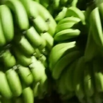 精品香蕉0.95，多年代办，货源充足