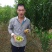 蜂糖李苗，包正宗假一赔十，李中皇后！提供免费种植技术