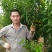 蜂糖李苗，包正宗假一赔十，李中皇后！提供免费种植技术