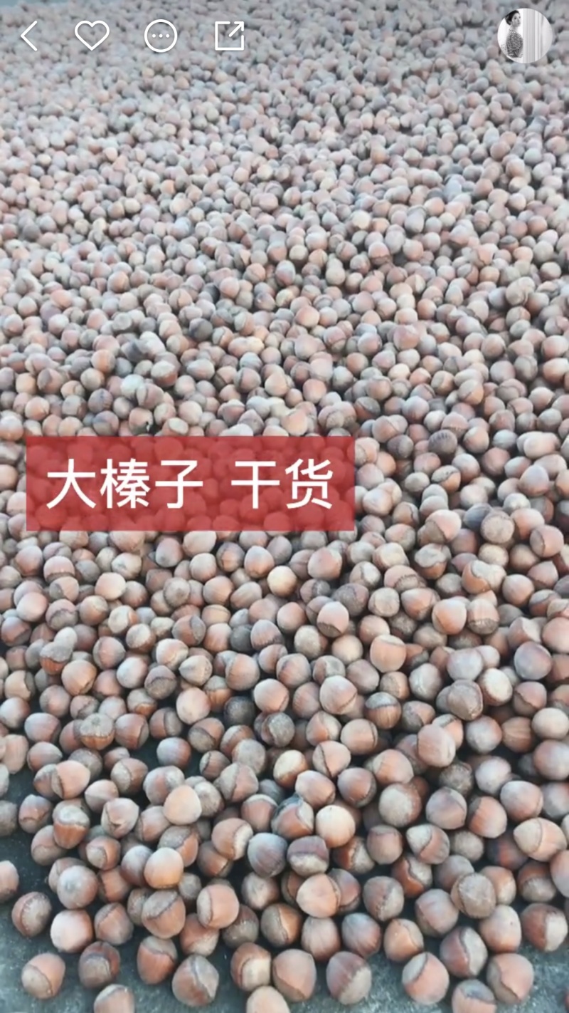平欧干果大榛子