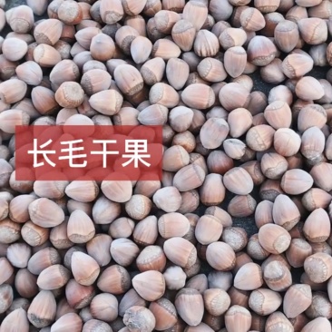 平欧干果大榛子
