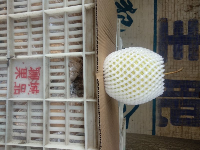 罐头雪梨