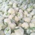 山东聊城白面青梗松花菜大量上市急需客户联系