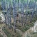 热销《黑皮甘蔗基地》质保13～16cm节度一条。