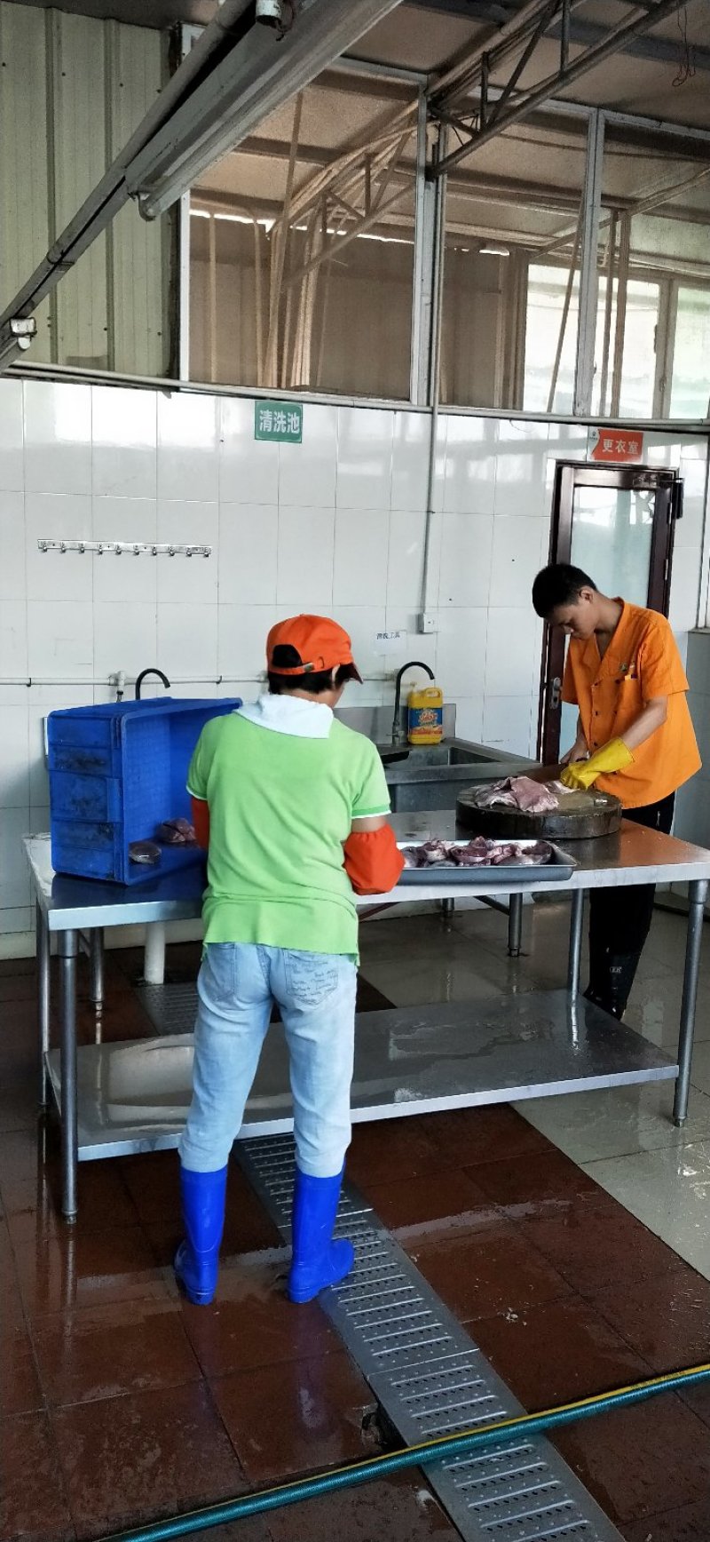 鲜鸭子，现场宰杀包装运送