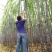 热卖区(广西甘蔗)基地直供，回程车免费提供。