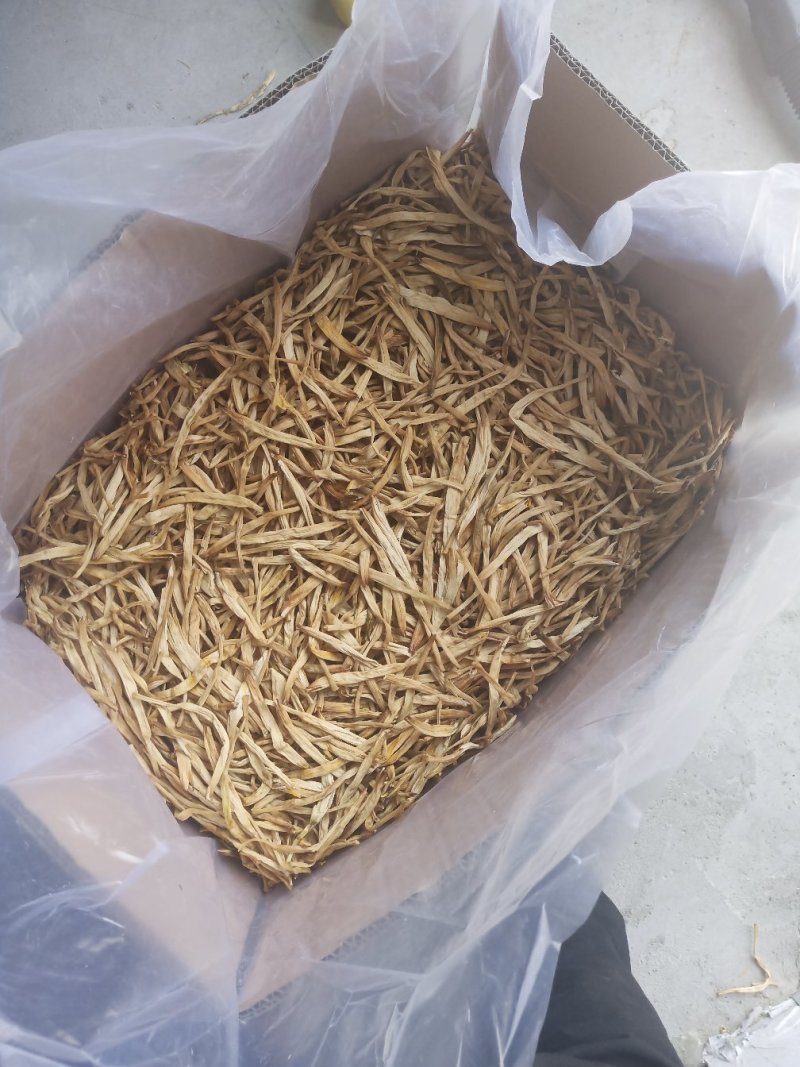 宁夏大白条黄花菜产地直销，一手货源散装特级