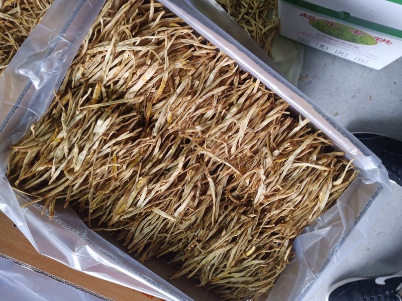宁夏大白条黄花菜产地直销，一手货源散装特级