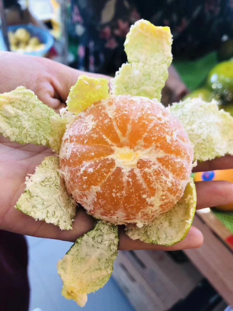 蜜橘🍊成熟无核蜜橘皮薄个大挂树鲜果入口即化一手货