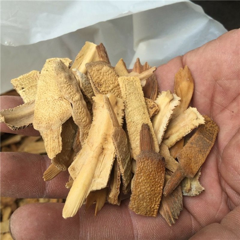 制鳖甲炙鳖甲鳖甲正品地道药材包含量
