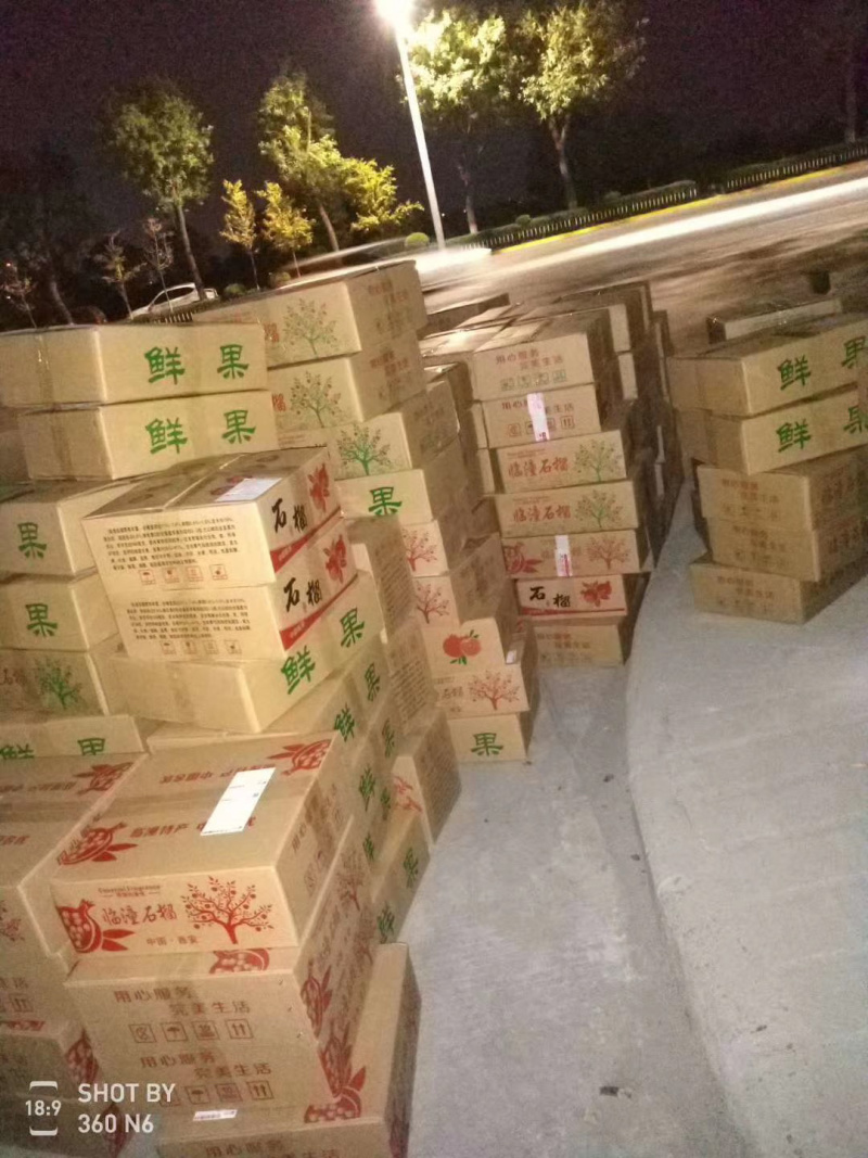 正宗临潼石榴