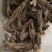 虎掌草,道地药材,质优价实,品质保证,药典标准一公斤起批