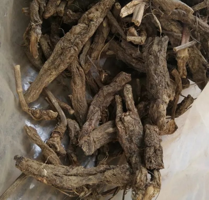 虎掌草，道地药材，质优价实，品质保证，药典标准一公斤起批
