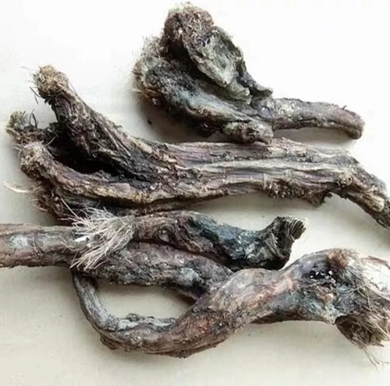 虎掌草，道地药材，质优价实，品质保证，药典标准一公斤起批
