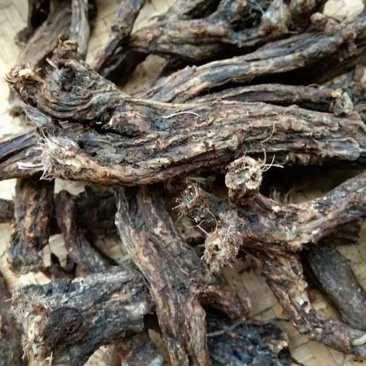 虎掌草,道地药材,质优价实,品质保证,药典标准一公斤起批