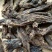 虎掌草,道地药材,质优价实,品质保证,药典标准一公斤起批