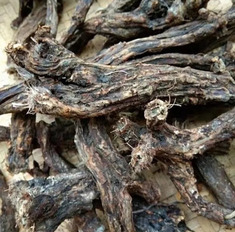 虎掌草，道地药材，质优价实，品质保证，药典标准一公斤起批