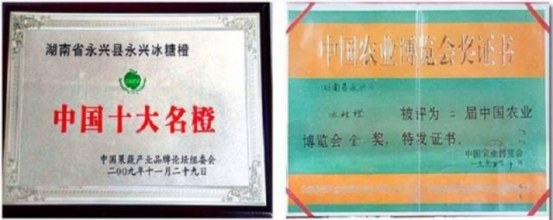 永兴冰糖橙好吃不上火果粒更青春。一件代发包邮，西五省不包