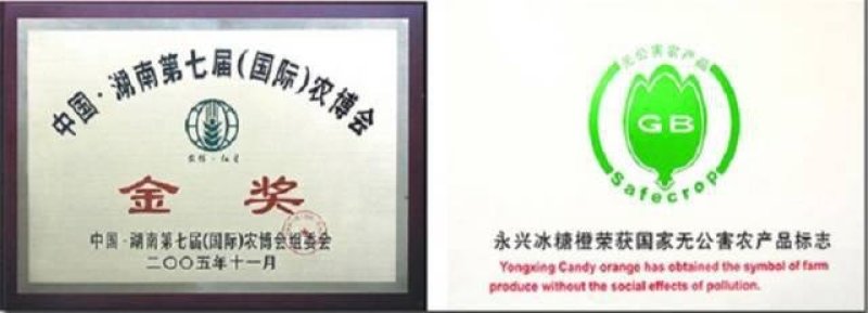 永兴冰糖橙好吃不上火果粒更青春。一件代发包邮，西五省不包