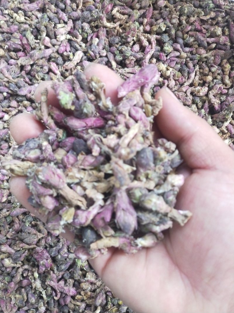 【款冬花甘肃产地手选精品款冬花】精选包邮