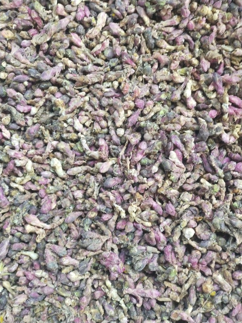 【款冬花甘肃产地手选精品款冬花】精选包邮
