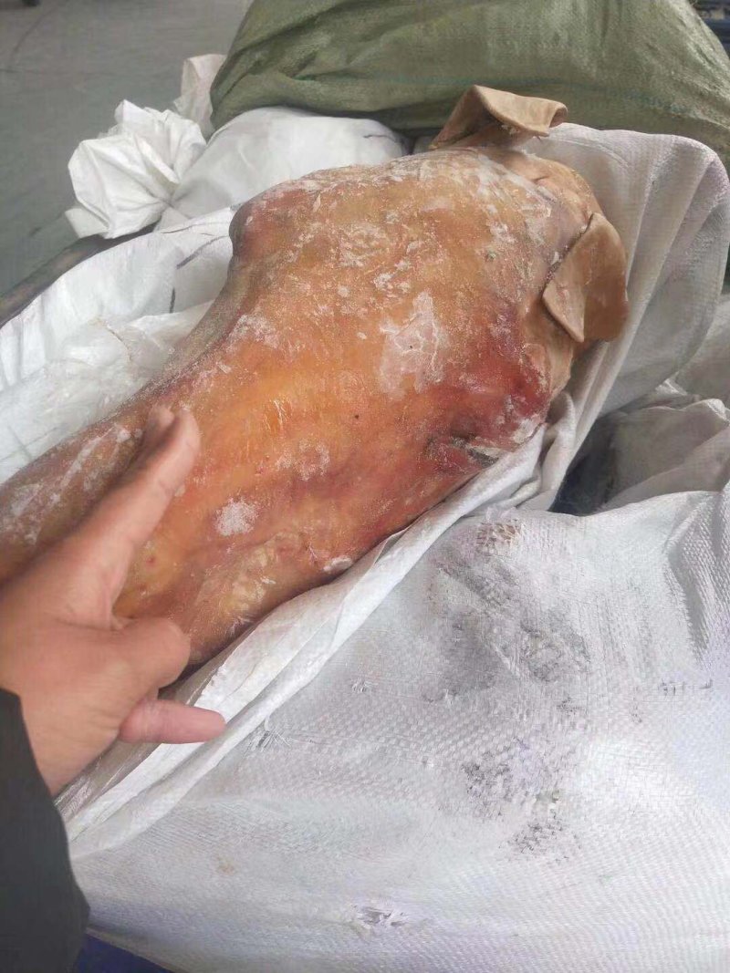 驴头带皮驴头实力供货，视频看产品，保质保量一手货源